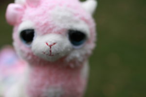 Yum-Yum is a female, pink alpaca with white spots and a pink bow