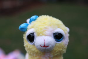 Sunny is a female, yellow alpaca with light pink spots and a blue bow