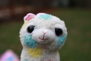 Spot is a female, polka dot alpaca who is mayor of laurel lane.