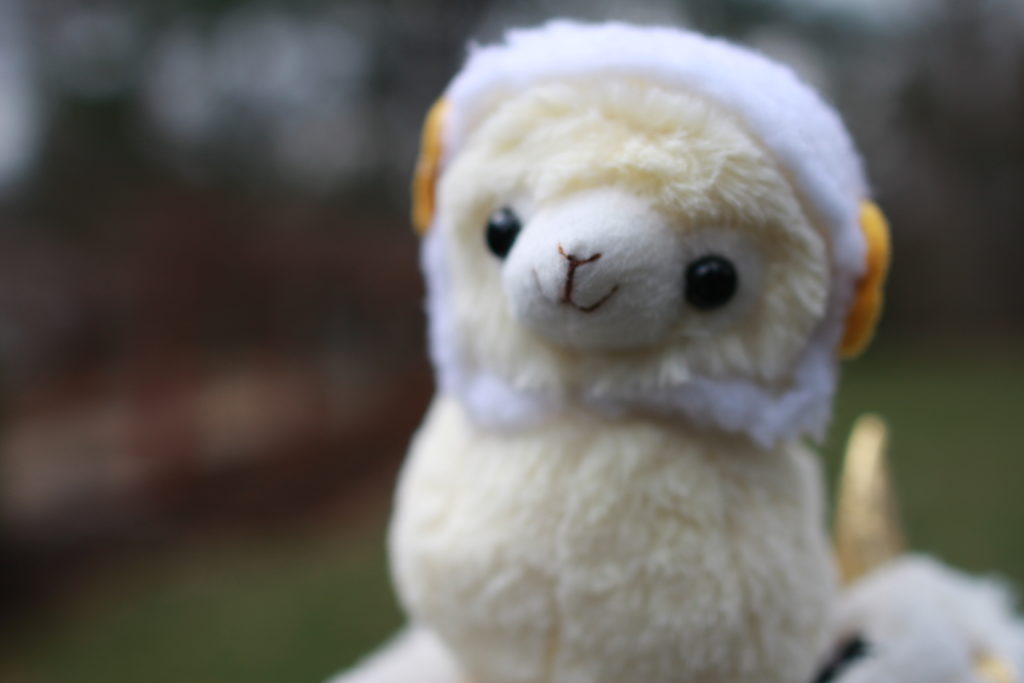 Ramie is a male, beige alpaca with a ram hat