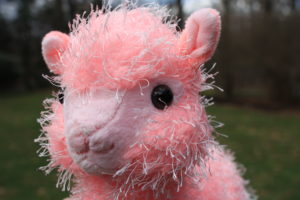 Sparkle is a female, tall, pink alpaca that loves to add sparkles to just about anything