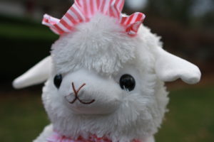 Maybell is a female, jumbo sized, white alpaca dressed as a waitress