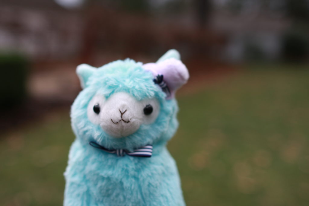 Mister is a male, blue alpaca with a top hat and bow tie