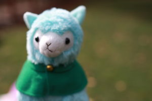 Preston is a male, blue alpaca with a green cloak.