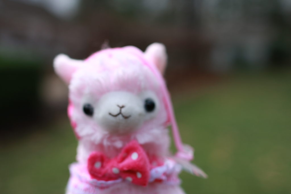 Pinky is a female, pink alpaca with a pink overcoat with a bow and pink earmuffs