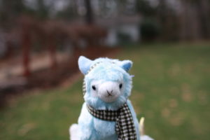 Preppy is a male, blue alpaca with a scarf and a pair of earmuffs