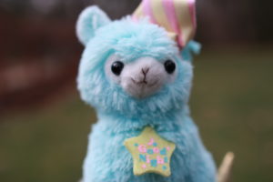 Pluto is a male, blue alpaca with a night cap and a star necklace