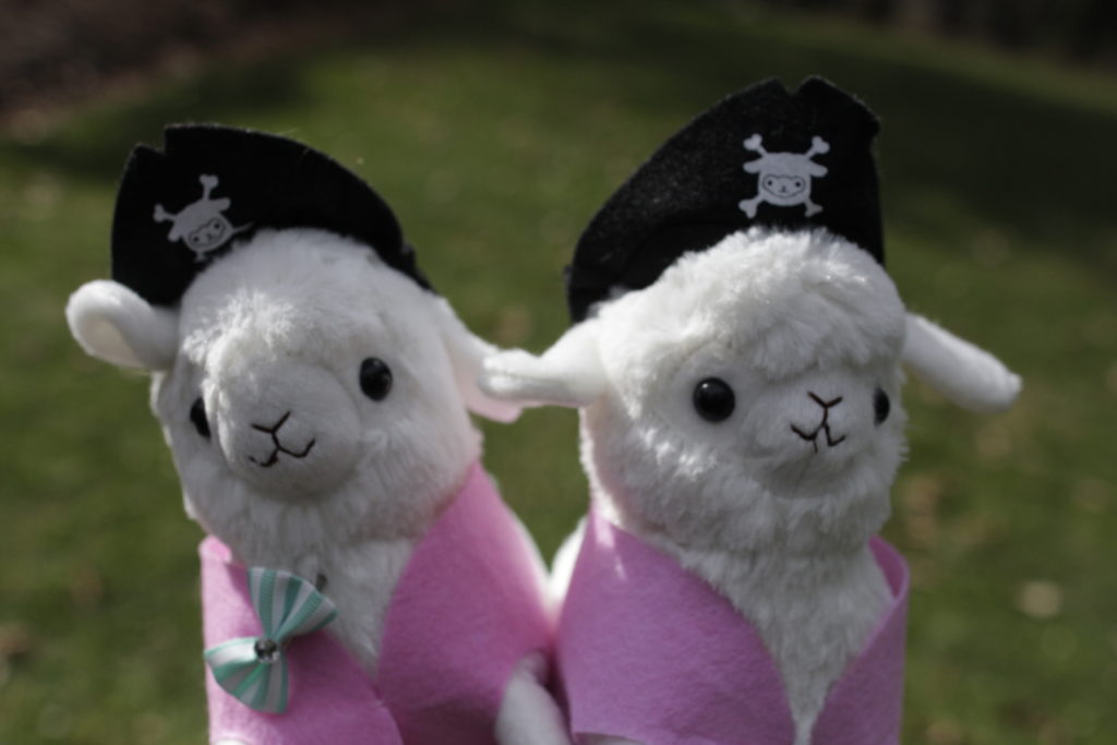 Jesse and Jamie are identical twins, both are white with a pink vest and a pirate hat the only thing different is that Jesse has a blue bow on her vest